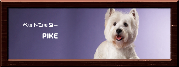 �y�b�g�V�b�^�[�E�s�P